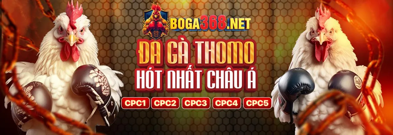 Hình ảnh tổng quan các trò chơi phổ biến sau khi đăng nhập AE388